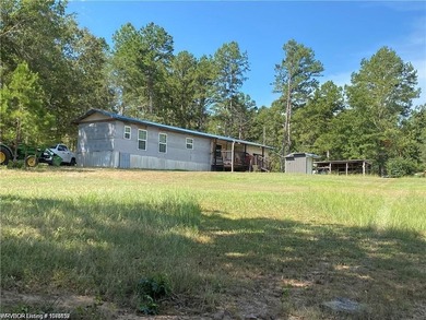 (private lake, pond, creek) Home For Sale in Parks Arkansas