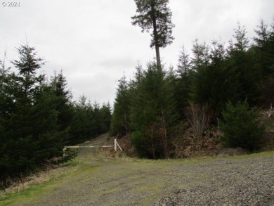 Green Peter Lake Acreage For Sale in Sweet Home Oregon