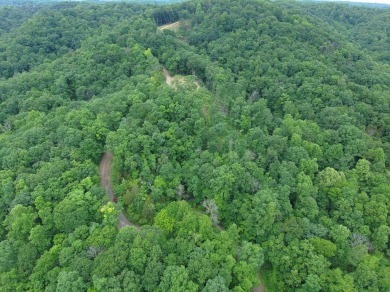 Lake Acreage For Sale in Celina, Tennessee