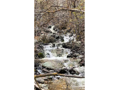 The Davis Lodge at Loafer Creek Falls lies just below Clifton - photo 5