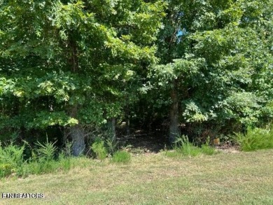 Lake Lot For Sale in Rockwood, Tennessee