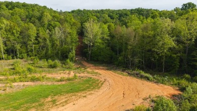 Lake Acreage For Sale in Moravian Falls, North Carolina