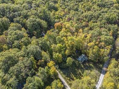 This wooded 100'x150ft lot offers a serene setting for your next - photo 20