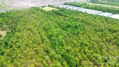 Discover the potential of this 32.31-acre parcel located along - photo 4
