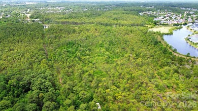 Discover the potential of this 32.31-acre parcel located along - photo 8
