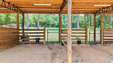 Welcome extraordinary 89.99-acre Shelby County horse farm where - photo 11