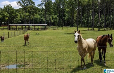 Welcome extraordinary 89.99-acre Shelby County horse farm where - photo 15