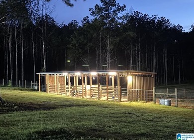 Welcome extraordinary 89.99-acre Shelby County horse farm where - photo 17