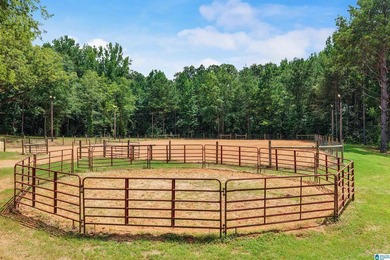 Welcome extraordinary 89.99-acre Shelby County horse farm where - photo 20