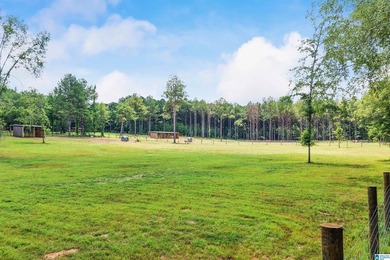 Welcome extraordinary 89.99-acre Shelby County horse farm where - photo 25