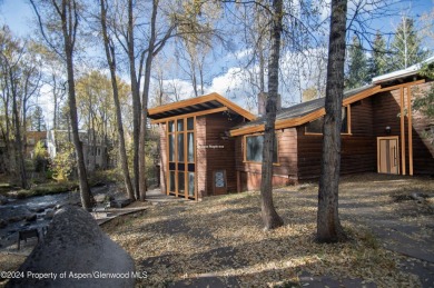 Roaring Fork River Home For Sale in Aspen Colorado