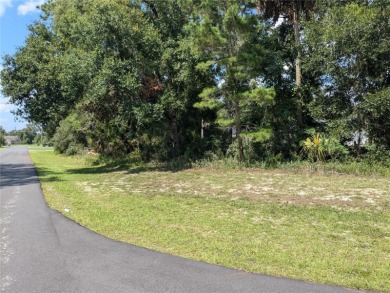 Waldena Lake Lot Sale Pending in Silver Springs Florida