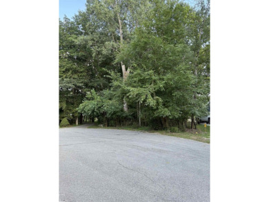Lake Lot For Sale in Metamora, Michigan