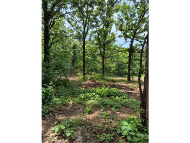 Beautiful lakefront property on SWEPCO Lake offering the perfect - photo 18