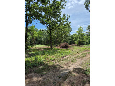 Beautiful lakefront property on SWEPCO Lake offering the perfect - photo 21