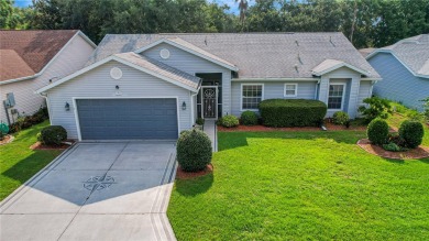 Lake Home Sale Pending in Leesburg, Florida