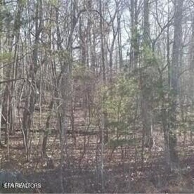 Lake Lot For Sale in Fairfield Glade, Tennessee