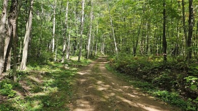 Moose Lake - Sawyer County Acreage Sale Pending in Hayward Wisconsin