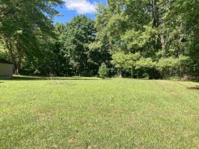 Lake Lot For Sale in Gladwin, Michigan