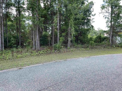Residential lot in Carrabelle Landing community with clubhouse - photo 4