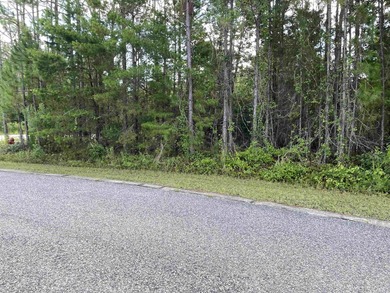Residential lot in Carrabelle Landing community with clubhouse - photo 8
