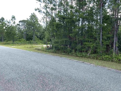 Residential lot in Carrabelle Landing community with clubhouse - photo 9