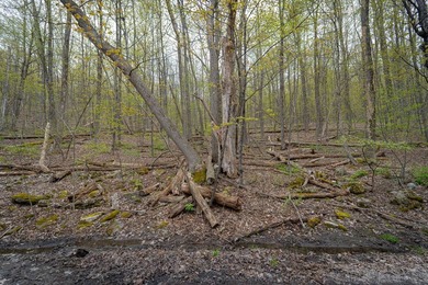 This 72.43+/- acre tract on Podpadic Road in Richmondville - photo 33