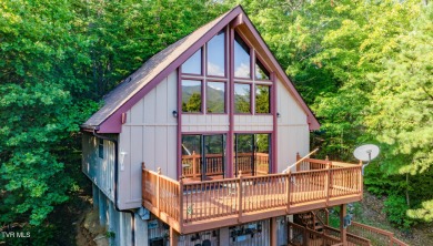 Lake Home For Sale in Hampton, Tennessee