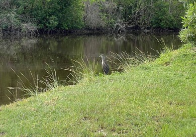 Just under 3/4 acre of WATERFRONT vacant residential land. 940 - photo 1