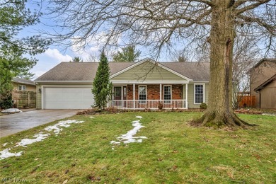 (private lake, pond, creek) Home For Sale in Strongsville Ohio