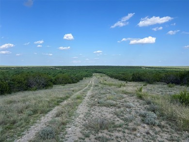 Horse Creek Ranch offers the optimum 1.4 miles of Concho River - photo 11