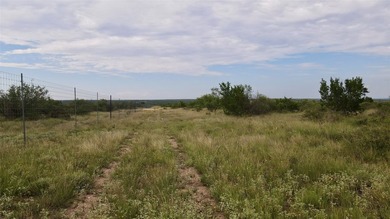 Horse Creek Ranch offers the optimum 1.4 miles of Concho River - photo 12