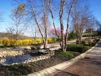 Build your dream home on this stunning 0.65-acre lot with - photo 24