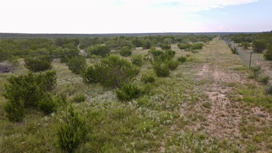 Horse Creek Ranch offers the optimum 1.4 miles of Concho River - photo 27