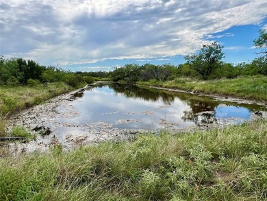 Horse Creek Ranch offers the optimum 1.4 miles of Concho River - photo 35