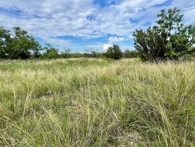Horse Creek Ranch offers the optimum 1.4 miles of Concho River - photo 36