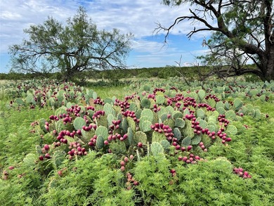Horse Creek Ranch offers the optimum 1.4 miles of Concho River - photo 37