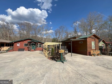 Lake Home For Sale in Cleveland, Georgia