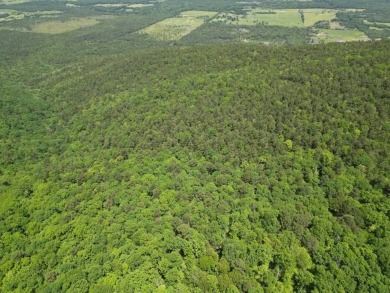 38.30 ACRES SOUTHEAST OKLAHOMA MOUNTAIN LAND WITH CREEK FOR - photo 3