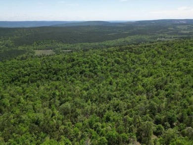 38.30 ACRES SOUTHEAST OKLAHOMA MOUNTAIN LAND WITH CREEK FOR - photo 8