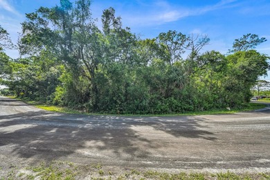 Seller says sell. 3-Lot package deal for sale in the desirable - photo 27