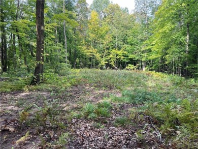 (private lake, pond, creek) Lot For Sale in Birchwood Wisconsin