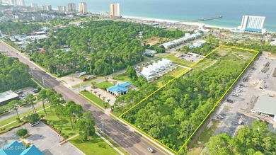Prime 2.7-Acre Commercial Parcel on Hutchinson Beach Road - photo 4