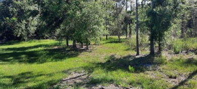 Lake Lot For Sale in Indian Lake Estates, Florida