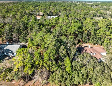 Vacant Residential Land ready for a new home. Located in Weeki - photo 3