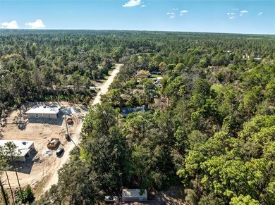 Vacant Residential Land ready for a new home. Located in Weeki - photo 6