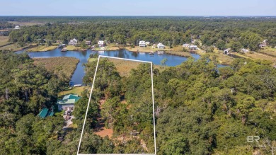 (private lake, pond, coastal) Lot For Sale in Gulf Shores Alabama