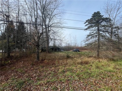 (private lake, pond, creek) Acreage Sale Pending in Geneva Ohio