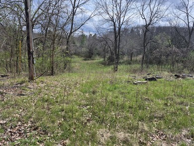 TBD McCasland Rd - photo 1