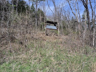 TBD McCasland Rd - photo 10